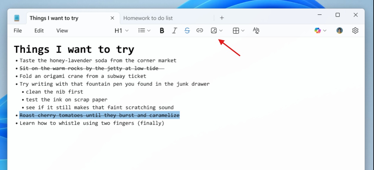 Notepad image insert