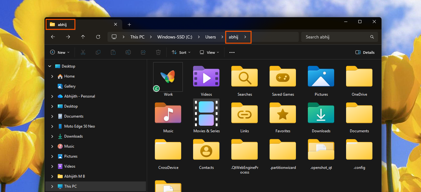 Default User Folder