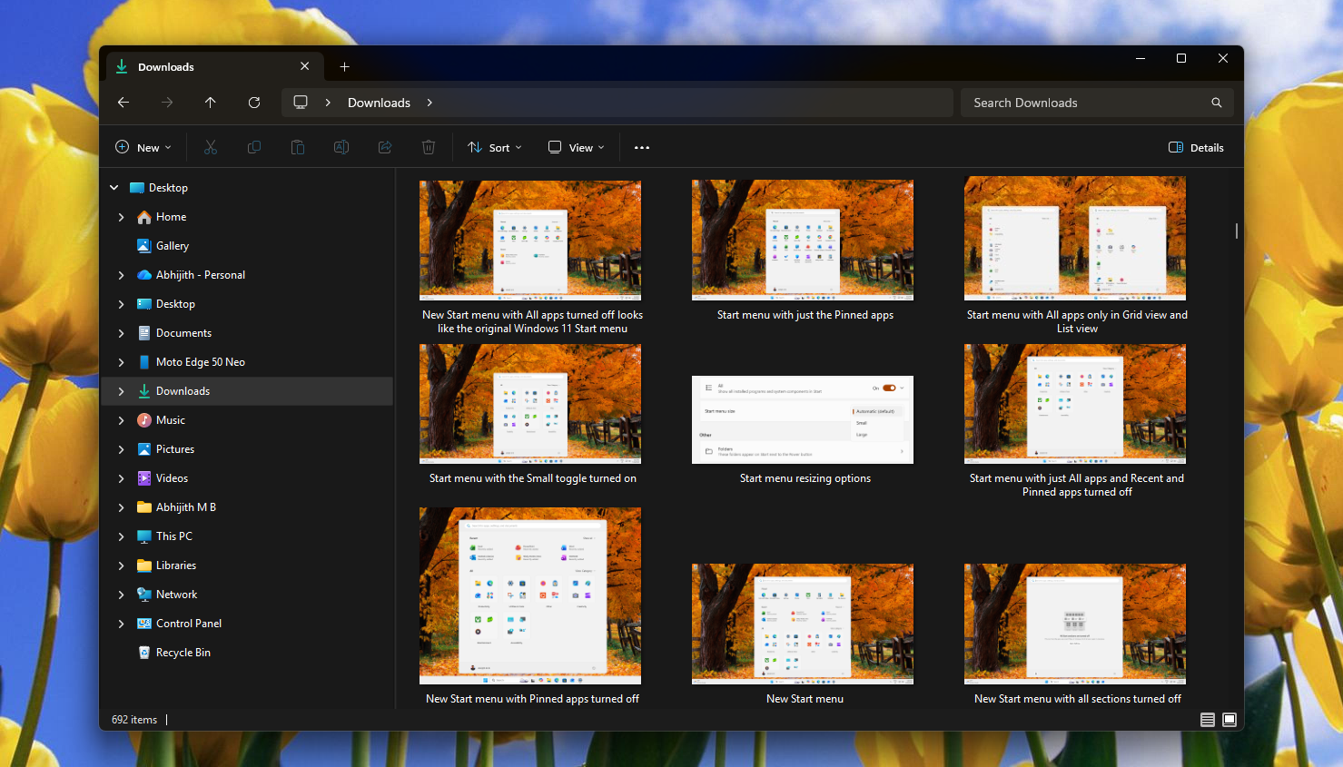 File names in File Explorer