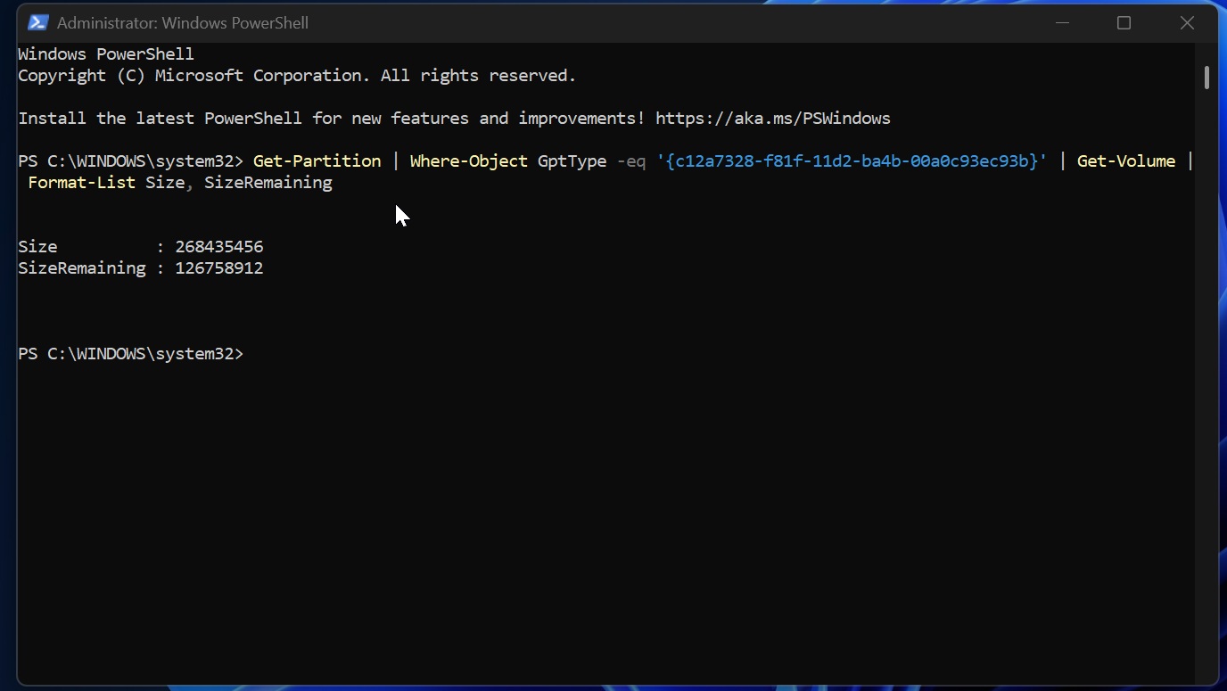 Windows 11 ESP storage check