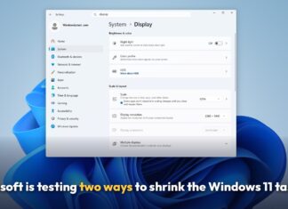Microsoft reveals Windows 11 taskbar feature that Windows 10 never had, two ways to shrink in testing