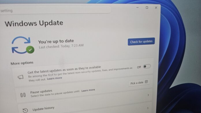 Windows 11 get the latest updates toggle