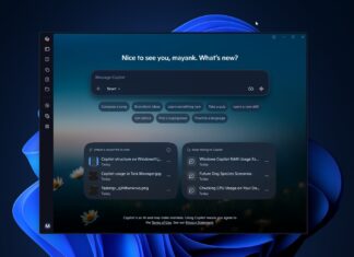 Windows 11 Copilot 现在会告诉你是什么拖慢了你的电脑，而它自己却要占用 1GB 内存