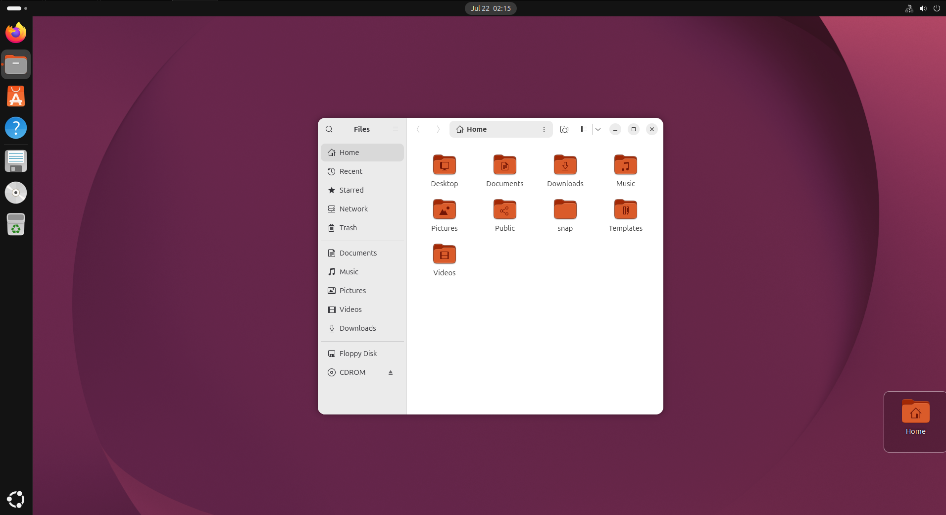 Linux Ubuntu with Files open