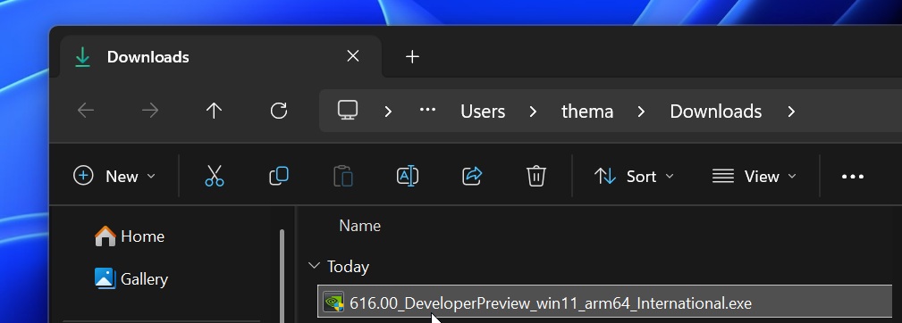 Windows 11 RTX N1X Spark driver