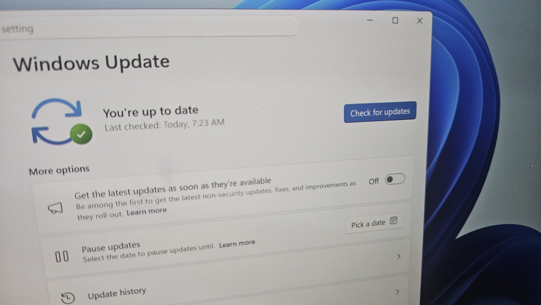 Windows 11 get the latest updates toggle