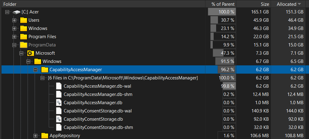 CapabilityAccessManager file usage