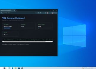 Windows 10 仍在获得 Windows 11 功能，但仅限开发者