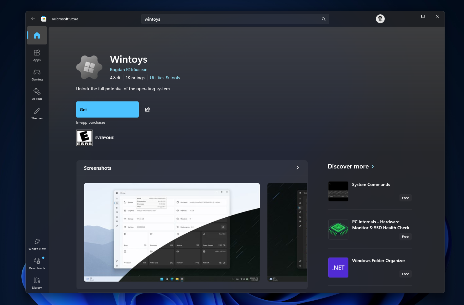 Wintoys in Microsoft Store