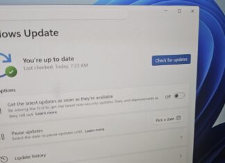 如果你开启了“获取最新更新……”开关，你的 Windows 11 电脑会自动安装它不需要的更新
