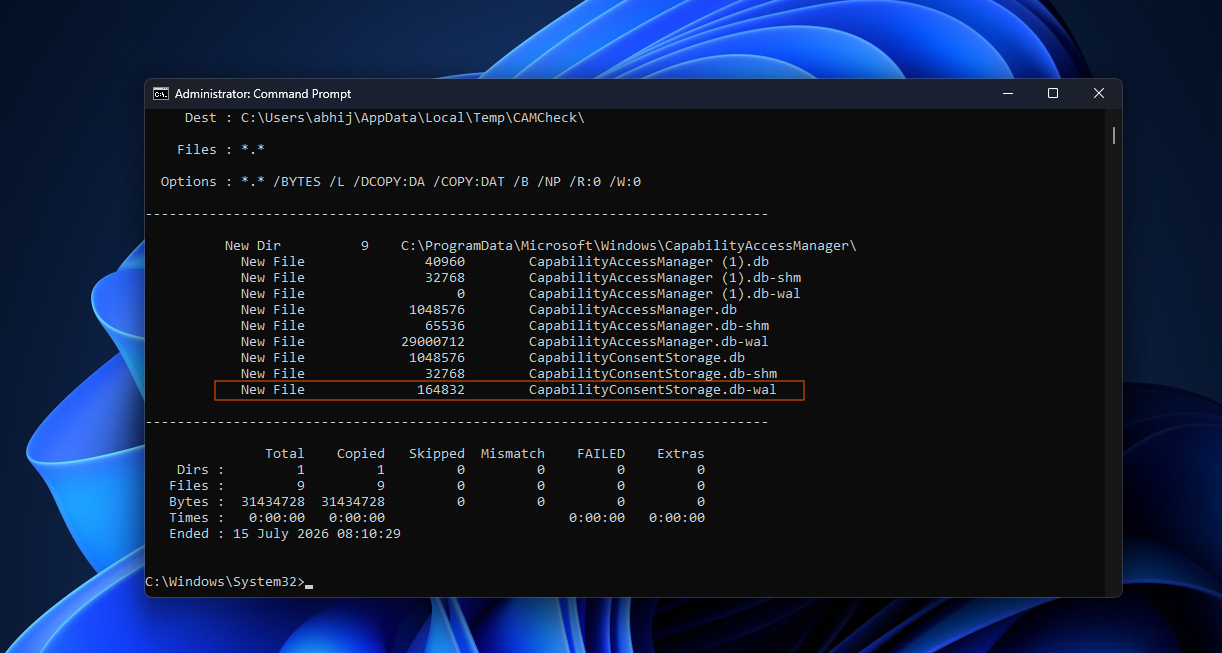 Healthy system file