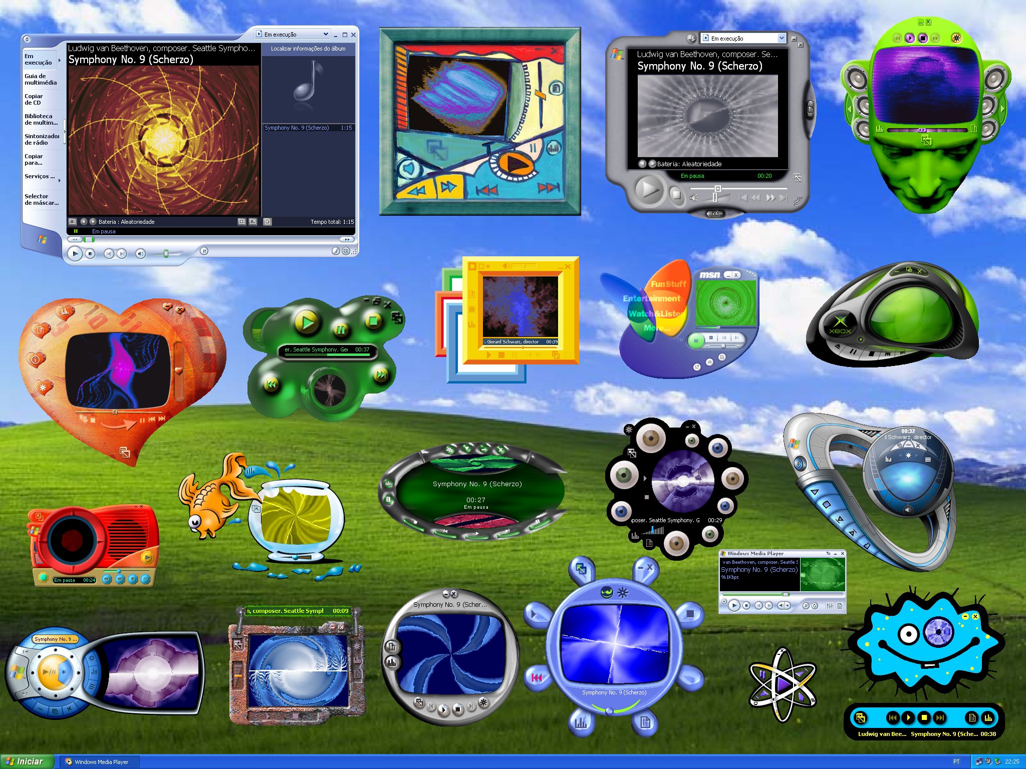 Windows XP 中的 Windows Media Player 皮肤
