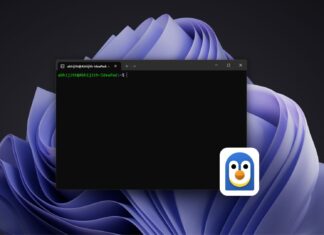 微软前 CEO 曾称 Linux 是癌症，如今 Windows 11 搭载升级版 WSL，支持 Linux 容器
